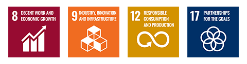 SDGs icon: 8,9,12,17